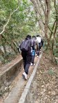 P_20240125_110336.jpg