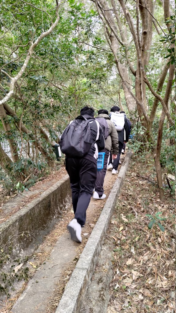 P_20240125_110336.jpg