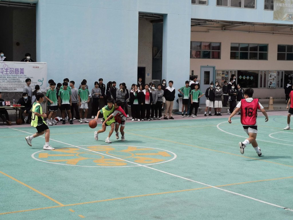IMG_20240308_134802.jpg