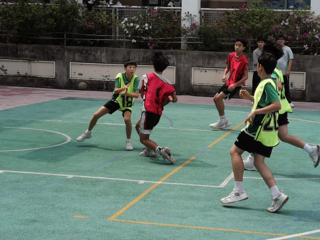IMG_20240308_134930_1.jpg