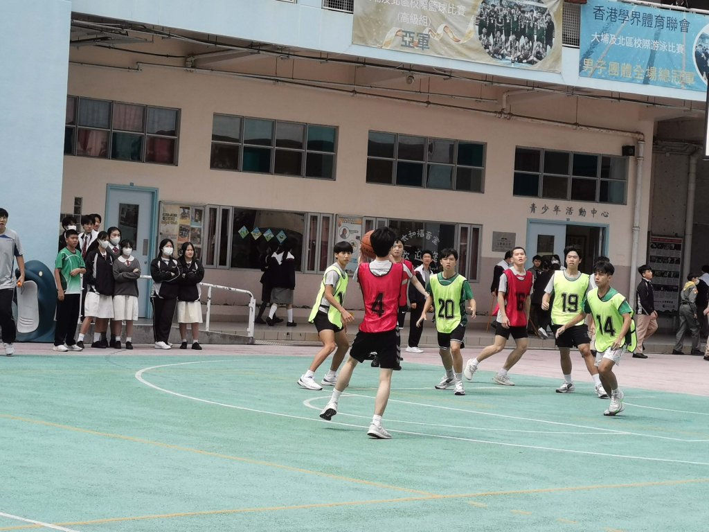 IMG_20240308_135157.jpg