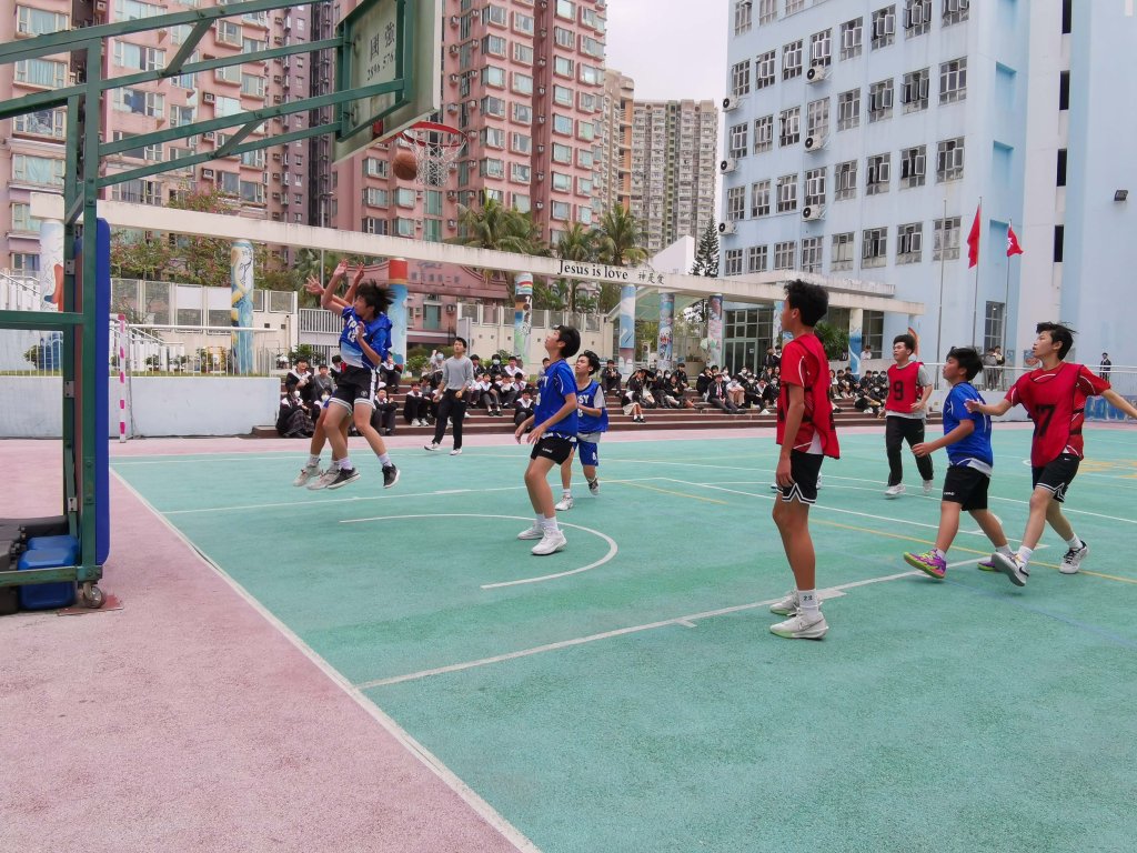 IMG_20240313_134839.jpg