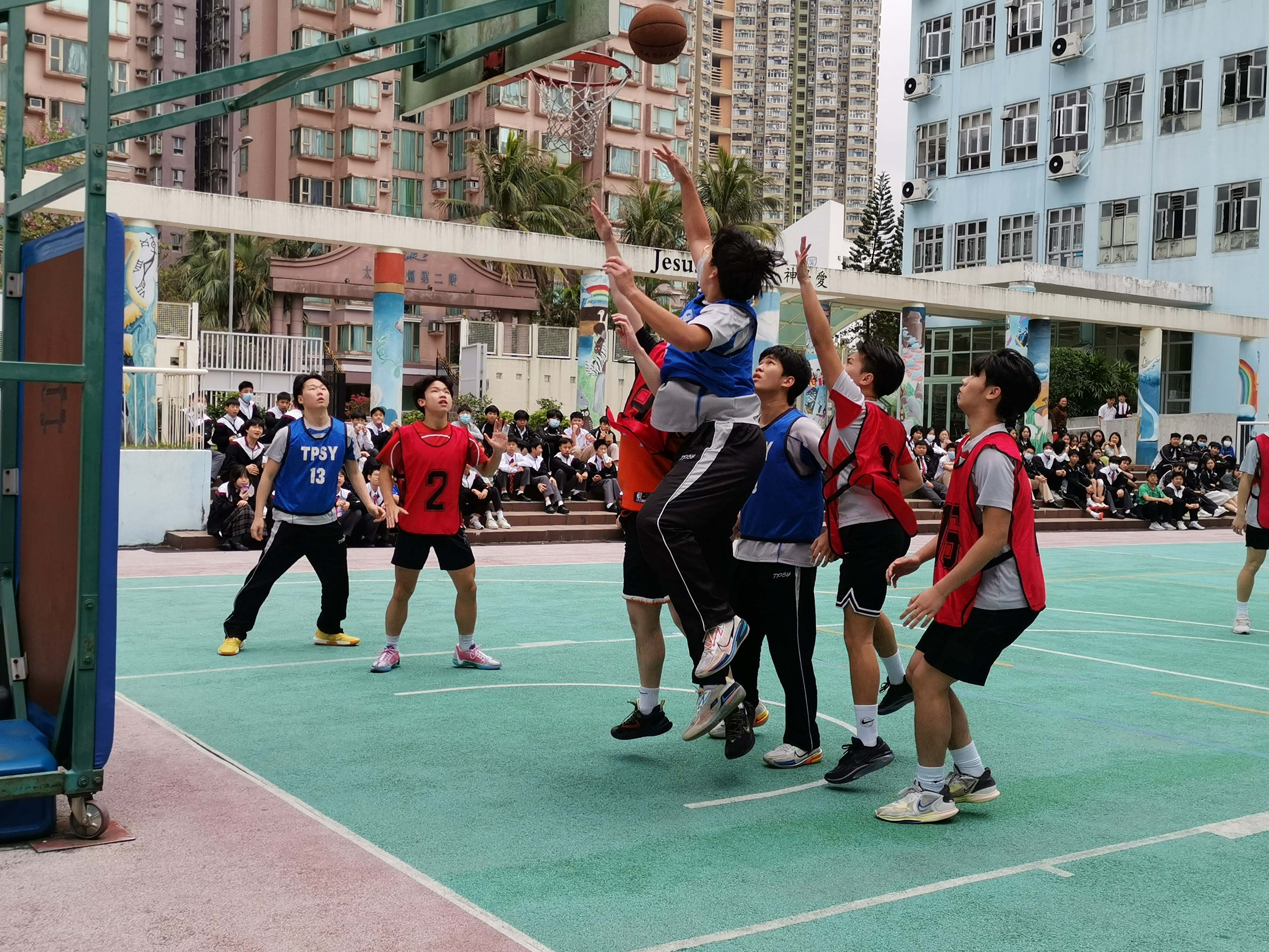 IMG_20240313_135240_1.jpg