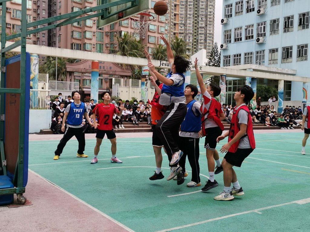 IMG_20240313_135240_1.jpg