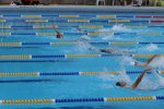 IMG_5386.jpg