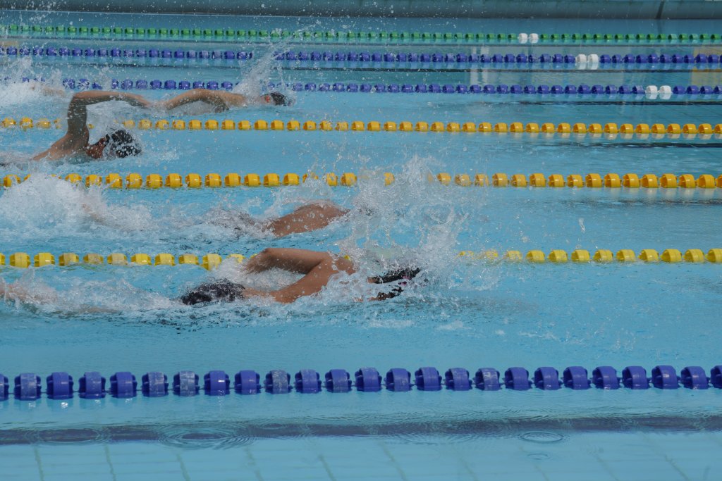 _DSC8419.JPG