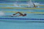 _DSC8494.JPG
