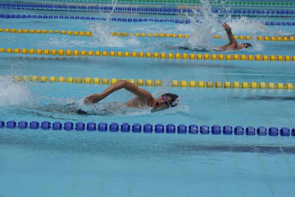 _DSC8494.JPG