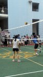 IMG_1201.jpg