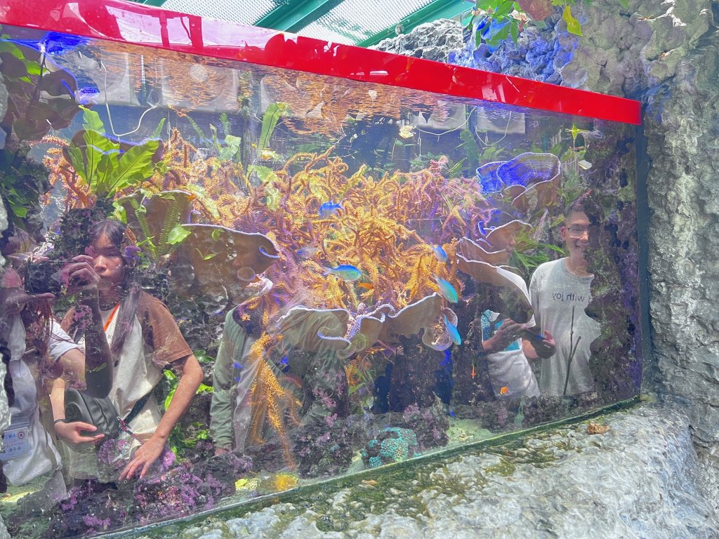 016e25853dab26466946955185f15f89c21e64b05a.jpg