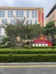 7月28至31日 佛山乒乓球集訓