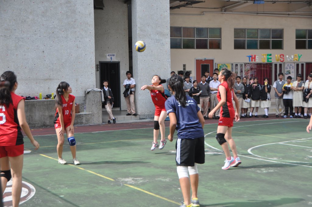 DSC_0249.JPG