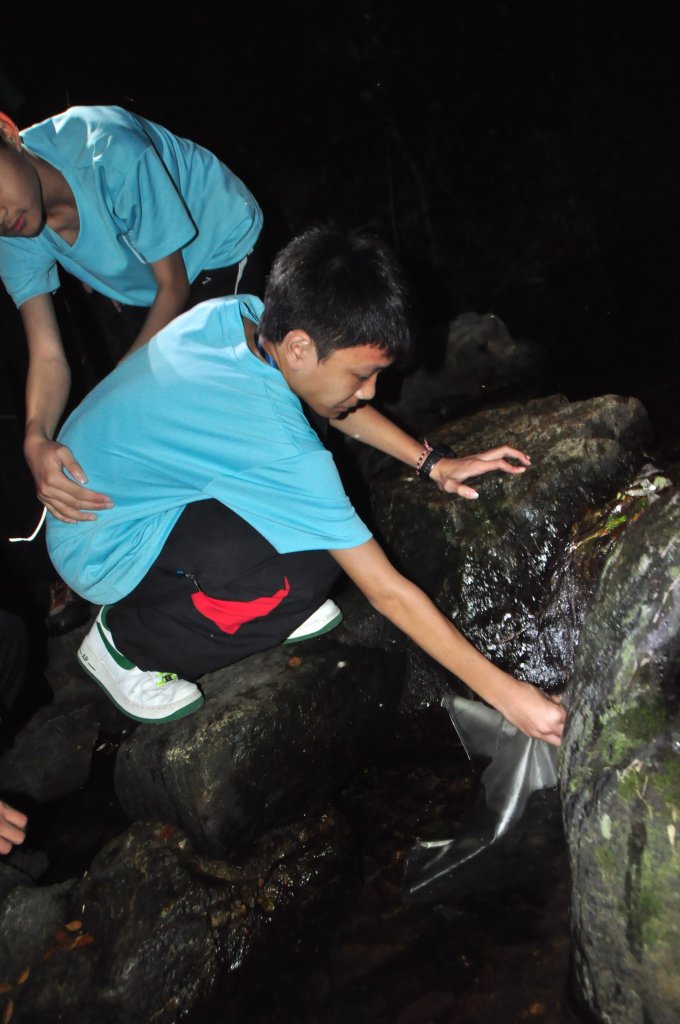 DSC_0957.jpg