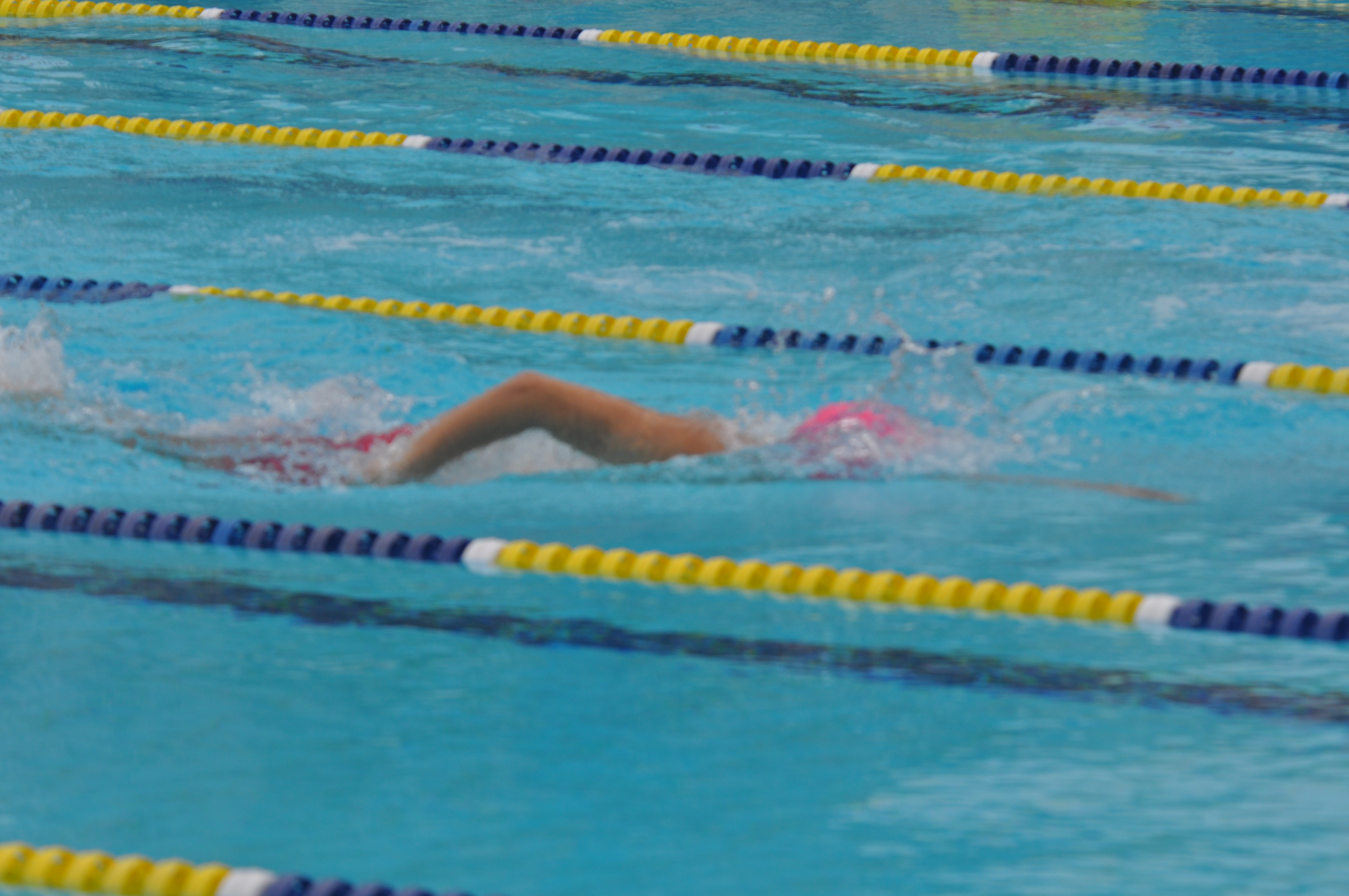 DSC_0977.JPG