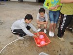 DSCN4542.JPG